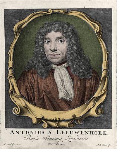 Muotokuva Antonie Van Leeuwenhoekista tai Anton van Leeuwenhoekista tai Leeuwenhoekista tai Leeuwenhoeckista. Hollantilainen luonnontieteilijä (1632-1723). kaiverrus vuodelta 1722. tekijältä Unknown artist