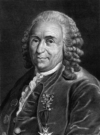 Carl Von Linnén muotokuva ruotsalainen luonnontieteilijä ja kirjailija (1707 - 1778). Sd. kaiverrus 1800-luvulta. tekijältä Unknown artist
