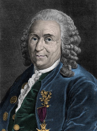 Charles Linnen (Carl von Linne, Linneus 1707-1778), ruotsalaisen luonnontieteilijän muotokuva. Kaiverrus 1800-luvulta. tekijältä Unknown artist