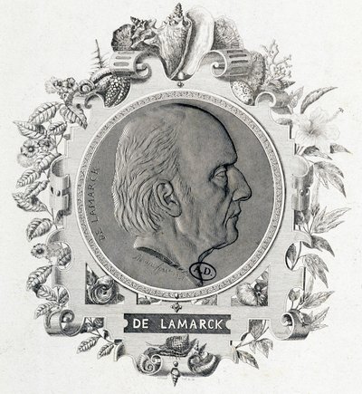 Jean Baptiste Lamarckin muotokuva - kaiverrus tekijältä Unknown artist