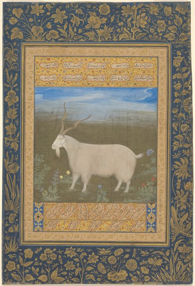 Ladakhilaisen vuoristovuohen muotokuva tekijältä Unknown artist
