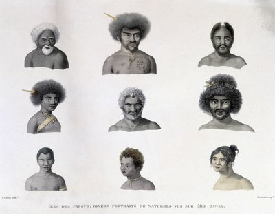 Papuan muotokuvia Rawakin saarelta. tekijältä Unknown artist