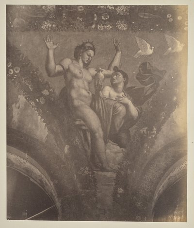 Psyche ojentaa potin Venukselle tekijältä Unknown artist