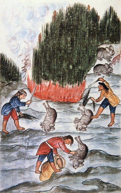 Kanin metsästys, kirjasta "Trujillo of Peru" tai "Codex Martinez Companion", Baltazar Martinez Companion ja Bujanda, Trujillon piispa (1782-1785) tekijältä Unknown artist
