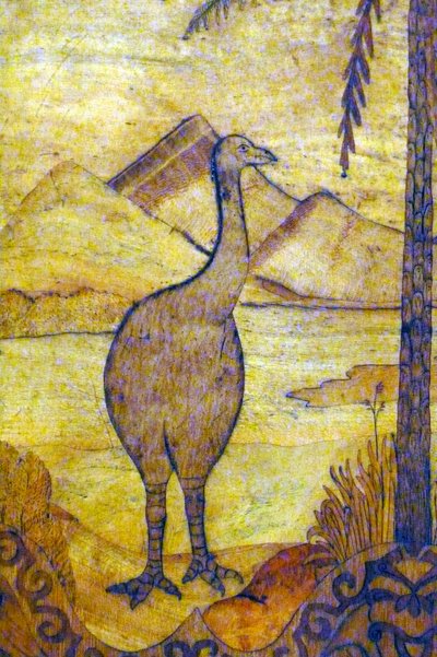 Edustus Uudesta-Seelannista kotoisin olevasta Moasta, heikotusta jättiläislinturodusta, joka ei pysty lentämään. 1700-luvulla tekijältä Unknown artist