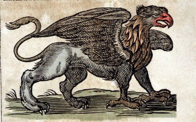 Esitys griffonista, upeasta olennosta, puoliksi kotkasta, puoliksi leijonasta. Kaiverrus Athanasius Kircherin (1601 - 1680), jesuiitta, orientalistin ja tutkijan teoksesta. tekijältä Unknown artist