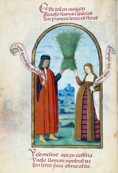 Edustus katolisista kuninkaista Ferdinand II:sta (1452-1516) ja Isabellasta 1. Kastiliasta (1451-1504), joilla on kädessään luonnonvaraisen fenkolin saapas. Käsikirjoitussivu otettu Pedro Marcuellon "" Espanjan kuningatar Joan Follen (1479-1555) hartauskok tekijältä Unknown artist