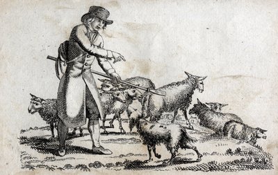 Paimen lammaslaumansa kanssa. Kaiverrus 1700-luvun lopulla. Yksityinen kokoelma. tekijältä Unknown artist
