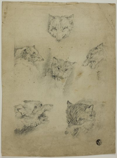 Kuusi luonnosta suden päistä tekijältä Unknown artist