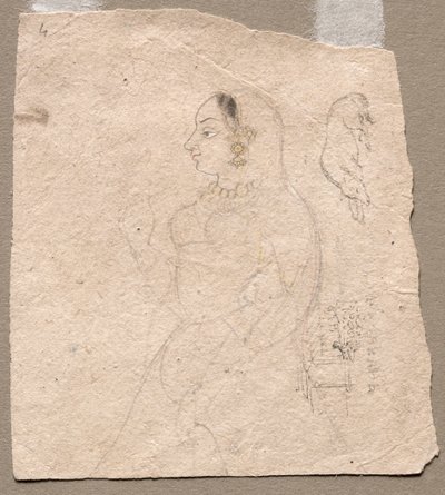 Luonnos naisesta, jolla on norsu ja muita eläimiä kääntöpuolella tekijältä Unknown artist