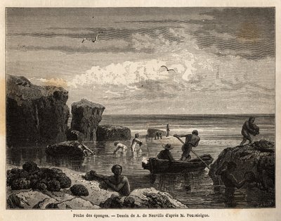Anastasia Islandin saarilaisten sienikalastus, matala tamma, naiset ja lapset kerääntyvät kivien joukkoon ja miehet lähtevät kanooteille sukeltamaan ja palauttamaan ne meren pohjassa. Kaiverrus havainnollistamaan tarinaa neljä kuukautta Floridassa, kirjoit tekijältä Unknown artist