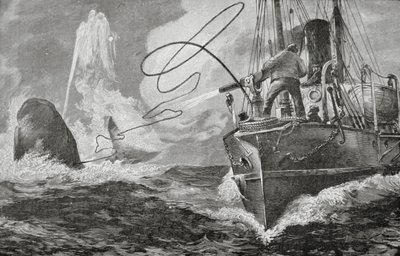 Höyrylaivat valaanpyyntialuksina tekijältä Unknown artist