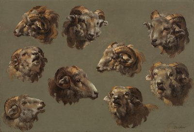 Ram Headsin tutkimukset tekijältä Unknown artist