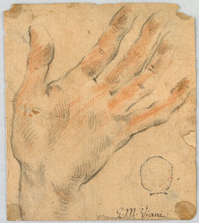 Tutkimus: Vasen käsi tekijältä Unknown artist