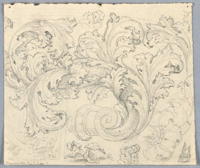 Tutkimus Curling Acanthus Ornamentille tekijältä Unknown artist