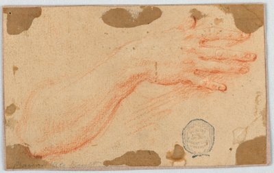 Tutkimus naisen oikealle kyynärvarrelle ja kädelle tekijältä Unknown artist