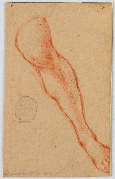 Tutkimus istuvan naisen vasemmasta jalasta tekijältä Unknown artist