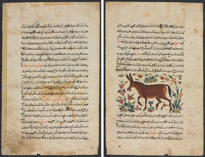 Tekstisivu, persialainen proosa (Recto); khar (aasi) (verso) tekijältä Unknown artist