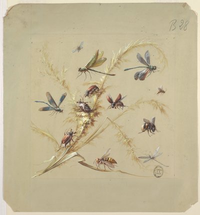 Tekstiili- tai tapettisuunnittelu: Hyönteiset tekijältä Unknown artist