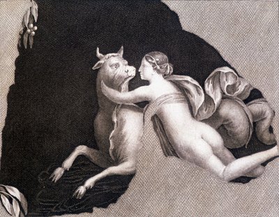 Euroopan sieppaus - kaiverrus tekijältä Unknown artist