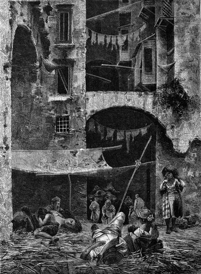 Koleraepidemia Napolissa vuonna 1836. tekijältä Unknown artist