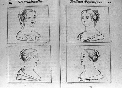 "Tractatus physiologicus de pulchritudine" -lehden eri naisprofiilit käsittelevät Ernesto Veniota (Ernestus Vaenius) puolustamassa luomakunnan kauneutta nimetöntä vastustajaa vastaan. 1612 tekijältä Unknown artist
