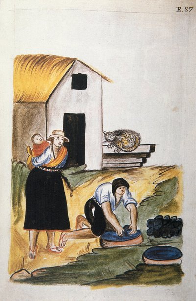 Villan värjäys Baltazar Martinez Companionin ja Trujillon piispan (1782-1785) Bujandan kirjasta "Trujillo of Peru" tai "Codex Martinez Companion" tekijältä Unknown artist