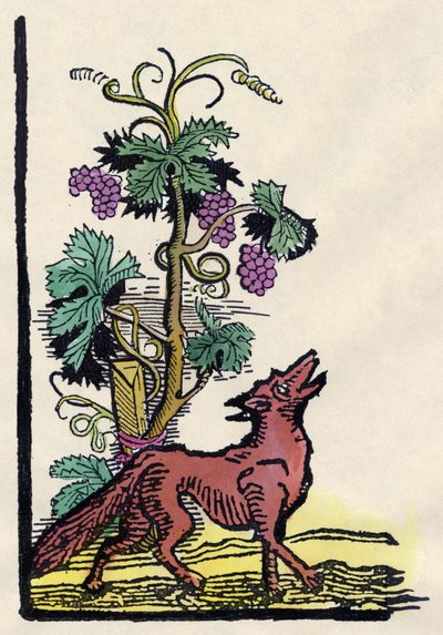 Kettu ja viinirypäleet. Fable of Asope (1700-luvun kaiverrus) tekijältä Unknown artist