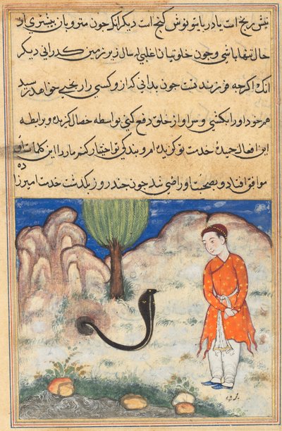 Prinssi, Sistanin hallitsijan poika, astuu käärmeen palvelukseen Tuti-namasta (Papukaijan tarinoita): Kolmekymmentäseitsemäs yö tekijältä Unknown artist