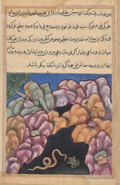 Käärme lähtee riitaan sammakon kanssa, Tuti-namasta (Papukaijan tarinoita): Kaksikymmentäkuusi yö tekijältä Unknown artist