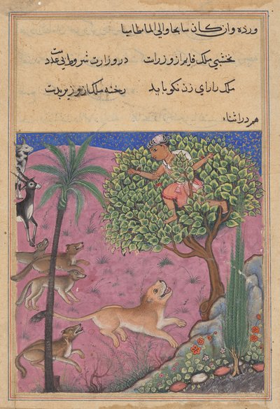 Susi ja sakaali, jotka toimivat visiirinä, yllyttävät leijonan, joka ajaa Brahmania takaa puuhun, Tuti-namasta (Papuukaijan tarinoita): Kaksikymmentäensimmäinen yö tekijältä Unknown artist