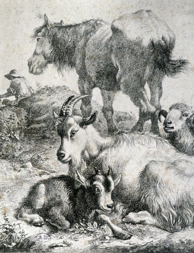 Traight hevonen, vuohi, vuohi ja pässi - kaiverrus tekijältä Unknown artist