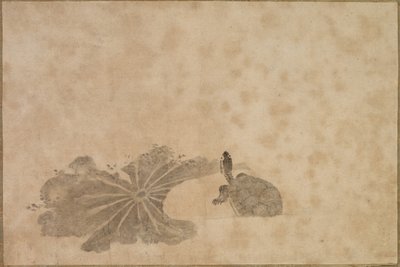 Kilpikonna Lotus Pondissa tekijältä Unknown artist