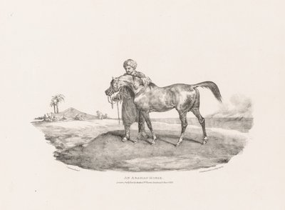 Erilaisia elämästä ja kivelle piirrettyjä aiheita: Arabian hevonen tekijältä Unknown artist