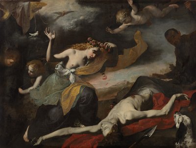 Venus löytää kuolleet Adonis tekijältä Unknown artist