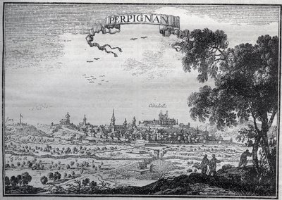 Näkymä Perpignanista 1600-luvulla - Näkymä Perpignanista 1600-luvulla - tekijältä Unknown artist