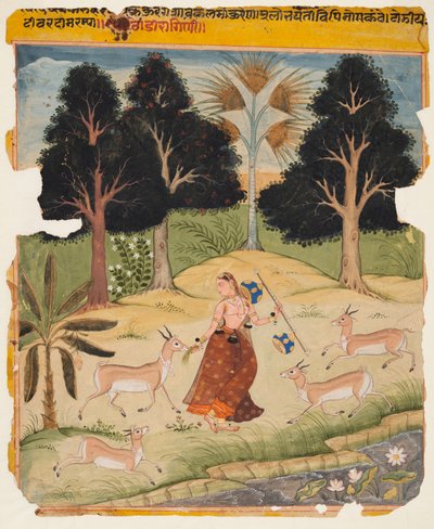 Nainen ruokkimassa peuroja: Todi Ragini, Ragamalassa tekijältä Unknown artist