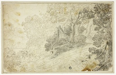 Metsäinen jokimaisema näköalalla linnalle tekijältä Unknown artist