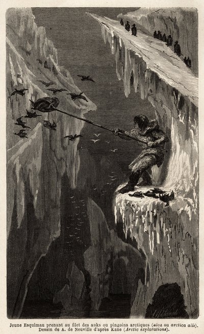 Nuori eskimau pyydystää arktisia pingviinejä. Kaiverrus havainnollistamaan matkaa arktisen navan vapaalle merelle, tohtori Hayesin, Yhdysvaltain laivaston kirurgin, vuosina 1860-1862, julkaistiin "Le tour du monde, nouveau journal des voyages", toimittanut tekijältä Unknown artist