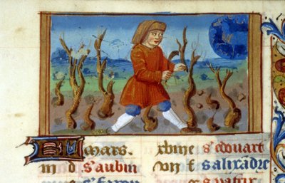 Zodiac Oinas ja puun koko - Keskiajan miniatyyri (viite 137, 047r) - Pyydä lupa Toulousen kaupunginkirjastolta (puh: 05 62 27 66 66) tekijältä Unknown artist