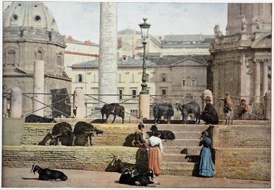 Muinainen Rooma: näkymä Rooman foorumille. Italia, 1800-luvun loppu. tekijältä Unknown photographer