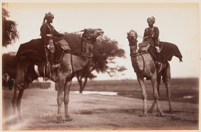 Camel Sowars Delhin harjoitusleirillä tekijältä Unknown photographer