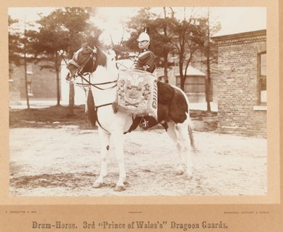 ?Rummuhevonen, Walesin 3. prinssin? Dragoon Guards?, 1895 noin tekijältä Unknown photographer