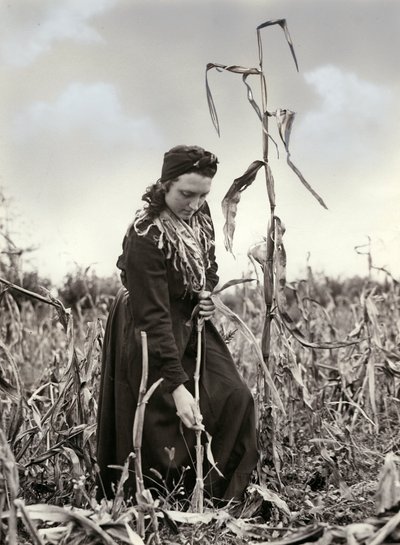 Friulian suulakepuristettu tekijältä Unknown photographer