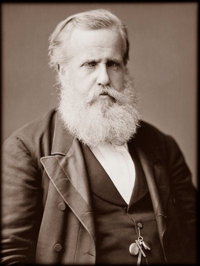 Muotokuva Dom Pedro II:sta (Pietari II) (Dom Pedro de Alcantara) (1825-1891), Brasilian keisarista tekijältä Unknown photographer