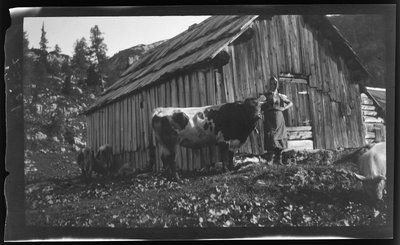 Vorderbachalm (vuoristolaidun) ja alppimökki lähellä Goesslia Grundl-järven rannalla. tekijältä Unknown photographer