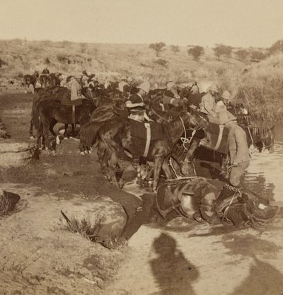 Tykistöhevosten kastelu, Welgelegen, Etelä-Afrikka tekijältä Unknown photographer