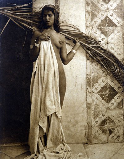 Nuori berberinainen poseeraa alasti. Valokuvaus noin 1890 tekijältä Unknown photographer