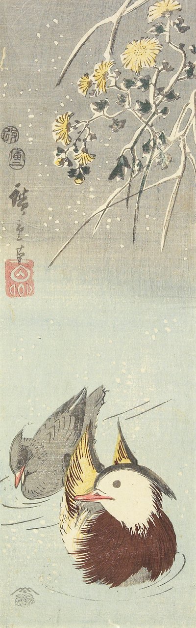 (Crysanthemum and Mandarin Ducks), helmikuu 1854 tekijältä Utagawa Hiroshige
