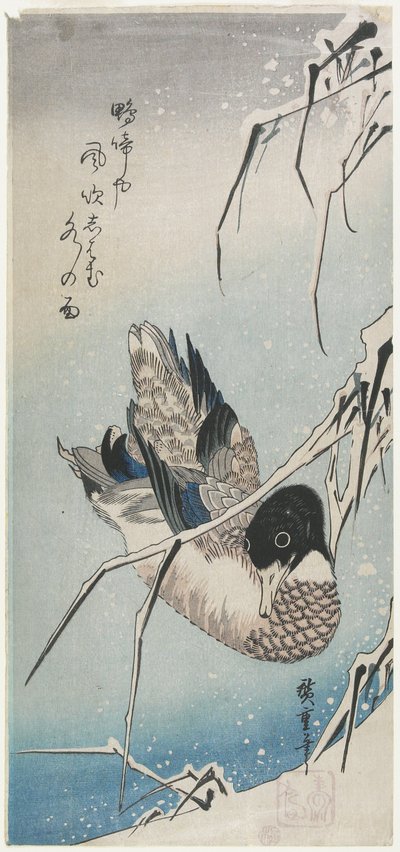 (Ankka ja luminen ruoko), 1830-luvun alku tekijältä Utagawa Hiroshige
